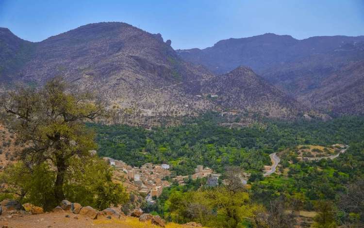 Argan Forests & Mountain Nature - غابات الأركان والطبيعة الجبلية