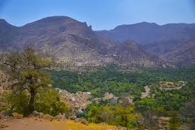 Oasis de Targua N’touchka - واحة تارجوا نتوشكا