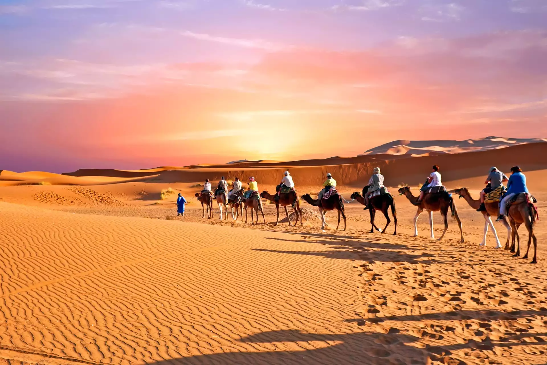 Camel ride at the palm grove