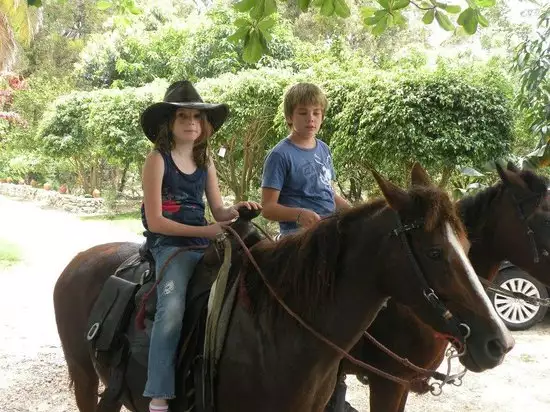 Balade à Cheval à Agadir : Découvrez les Plages et les Dunes du Maroc à Cheval