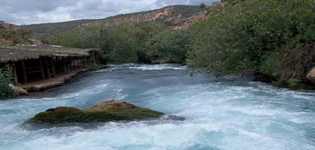 The Banks of Oued Oum Errabia: A Natural Haven of Peace in Azemmour